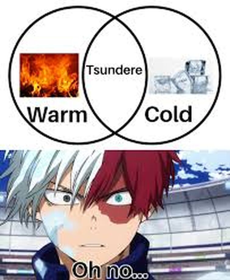 tokuda meme 0028